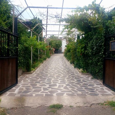 Guesthouse Giorgi 泰拉维 外观 照片