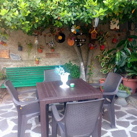 Guesthouse Giorgi 泰拉维 外观 照片