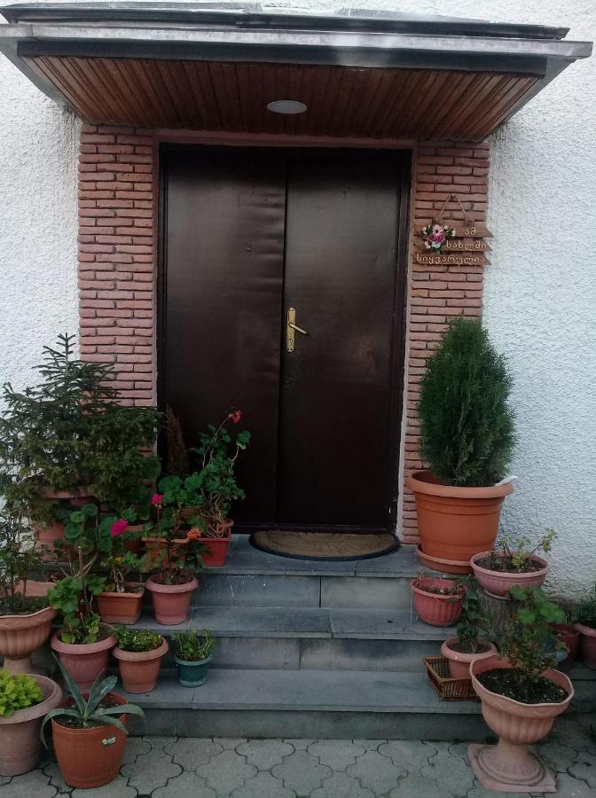 Guesthouse Giorgi 泰拉维 外观 照片