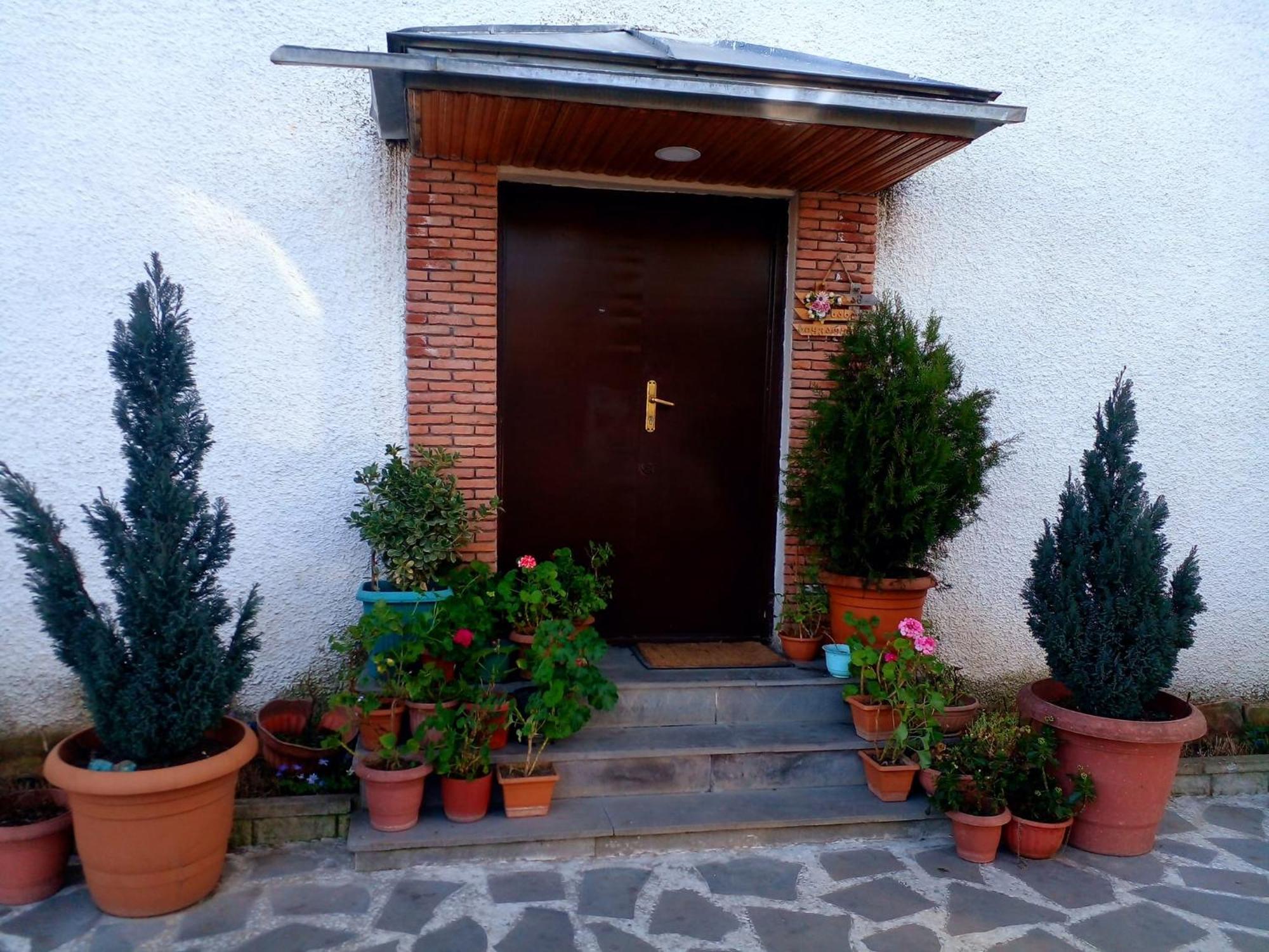 Guesthouse Giorgi 泰拉维 外观 照片