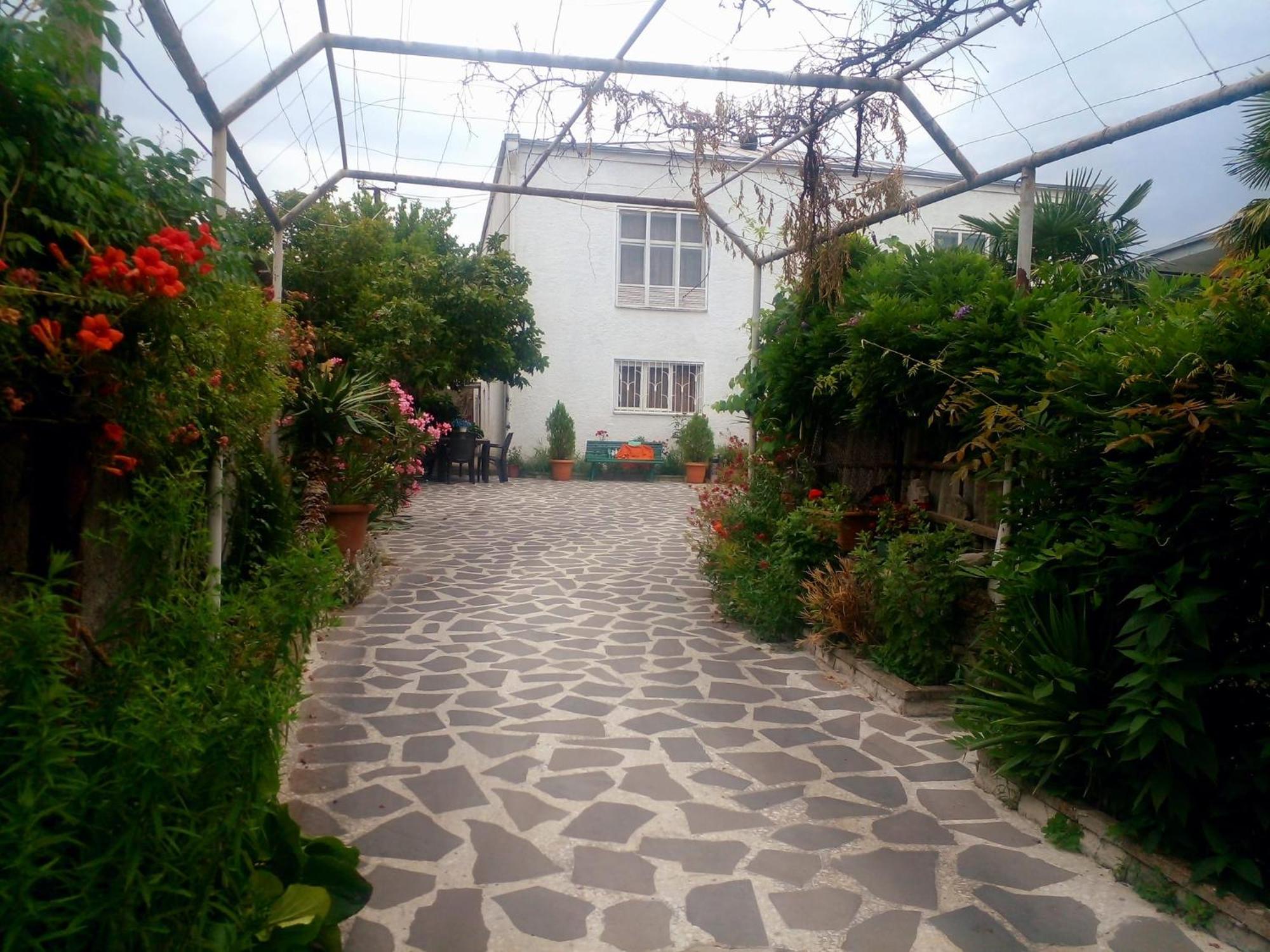 Guesthouse Giorgi 泰拉维 外观 照片